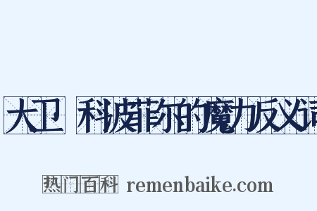 大卫·科波菲尔的魔力反义词是什么意思的图片